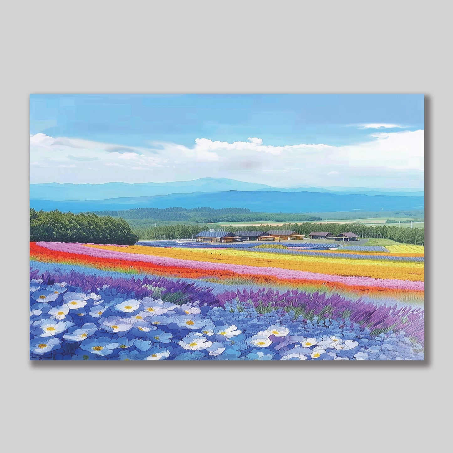 Farm Tomita Postcard — Furano, Hokkaido Healing Voyage