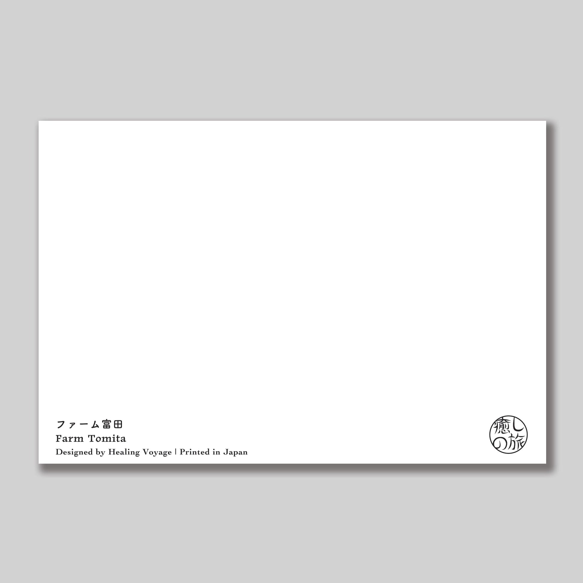 Farm Tomita Postcard — Furano, Hokkaido Healing Voyage